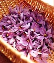 iranian saffron price,purchase iranian saffron,iranian saffron supplier,iranian saffron suppliers,supplier iranian saffron,red saffron,bulk saffron,buy iranian saffron