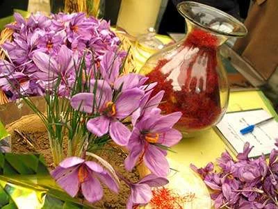 Iranian saffron production statistics in 2012