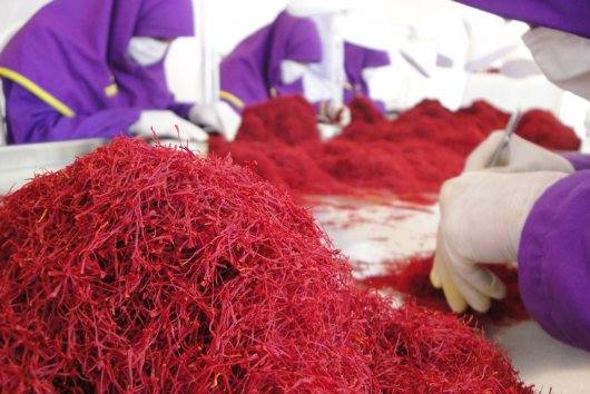 Compositional analysis of Iranian saffron,sale iranian saffron,supplier iranian saffron,price iranian saffron,iranian saffron price,wholesale iranian saffron