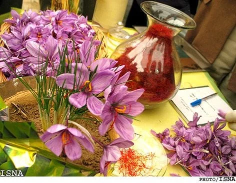 Saffron lowers bad cholesterol,saffron,iranian saffron,sale iranian saffron,wholesale iranian saffron,bulk iranian saffron,supplier iranian saffron,sale red saffron