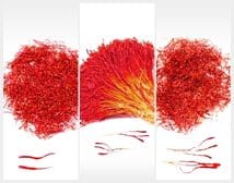 Types of Saffron,Supplier saffron,price of saffron,price of iranian saffron,price of red saffron,price of pure saffron,price of bulk saffron,saffron price,iranian saffron price