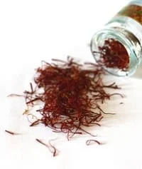 Medicinal uses of saffron,wholesale iranian saffron,sale sargol saffron,sale pure saffron,sale organic saffron,sale bulk saffron,saffron of iranian,saffron price