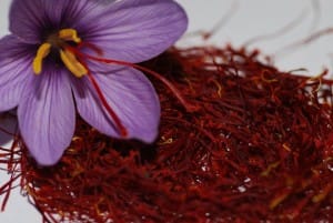 History of iranian saffron,wholesale iranian saffron,supplier iranian saffron,iranian saffron price,bulk iranian saffron,iranian saffron seller