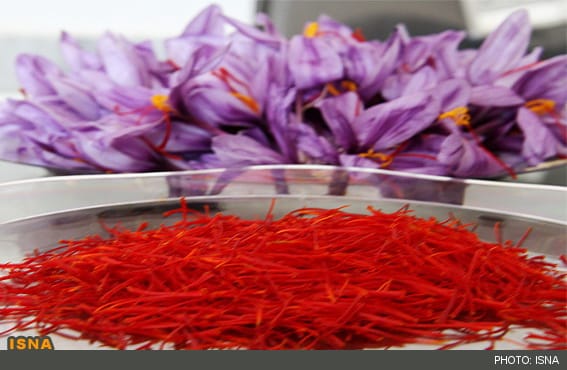 Saffron exports to America was released, saffron, saffron exports, Iranian saffron, iranian saffron seller,iranian saffron exporters, iranian saffron, saffron prices, buyers of Iranian saffron, saffron market, manufacturers Iranian saffron