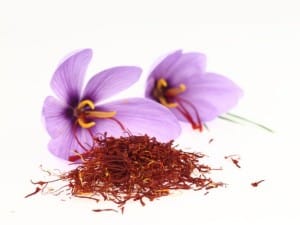 wholesale saffron,manufacturer iranian saffron,exporter iranian saffron,Saffron helps to treat MS,saffron seller,saffron price,saffron wholesaler