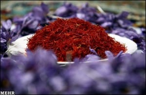 organic iranian saffron,organic iranian saffron supplier,organic iranian saffron price,organic iranian saffron exporter,price of organic iranian saffron,saffron,saffron suppliers,saffron exporter,iranian saffron