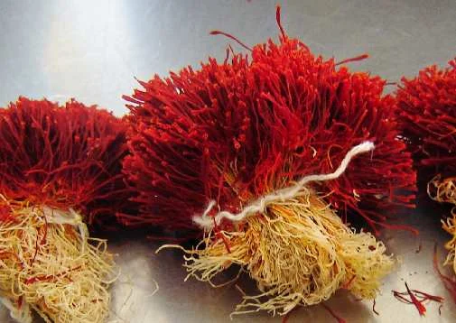saffron,saffron exports,saffron exporter,iranian saffron exporter,saffron exports in iran,saffron seller,saffron price,sargol saffron,red saffron,Saffron exports increased 2300 percent over the previous year