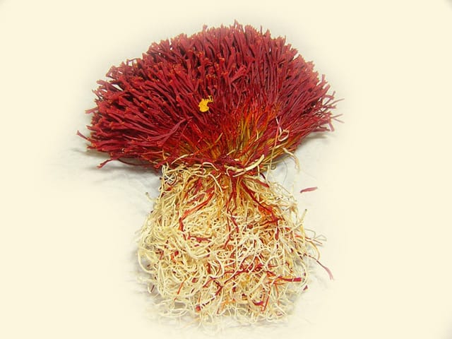 Saffron,saffron export,the price of saffron,saffron pack,buy saffron, saffron iran,iranian saffron,red saffron,producers of saffron,organic saffron