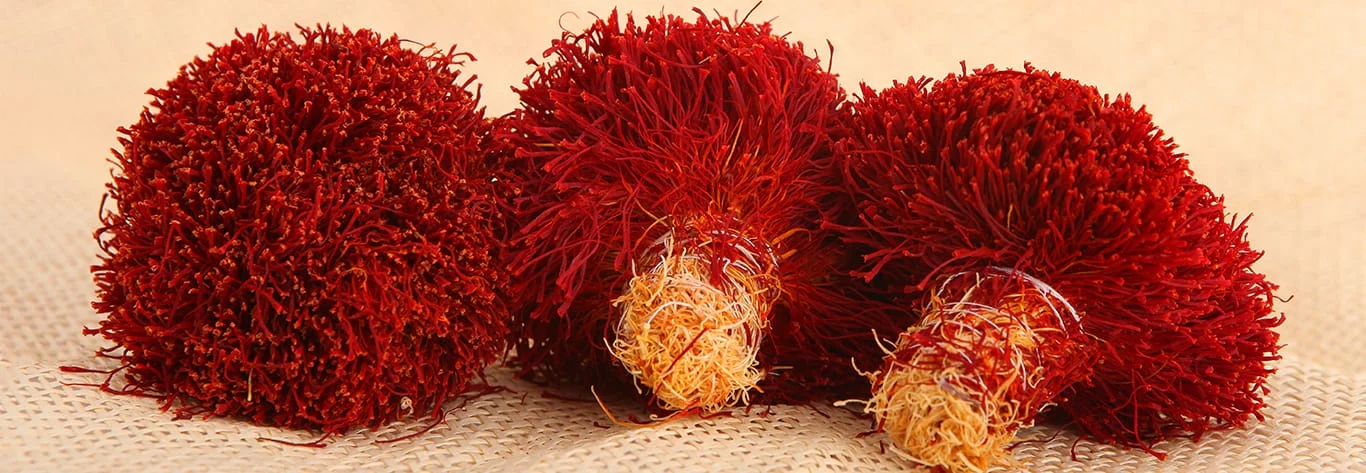 With the development of this product in other parts of saffron death is near