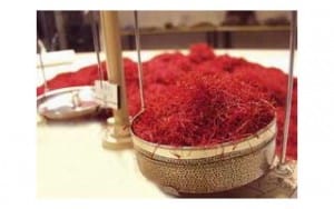 72 tons of saffron onion seed distribution in areas prone to Ardabil