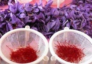 60 million dollar export saffron to 44 countries