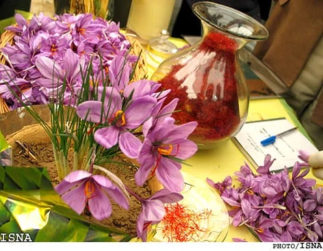 Farmers trying to inflate the bulk export saffron