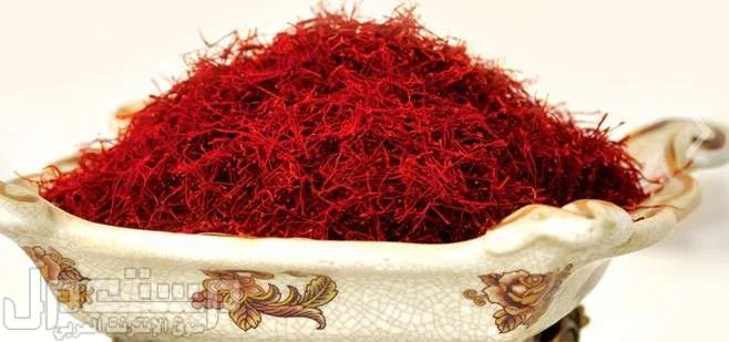 America also joined the list of Iranian saffron exports