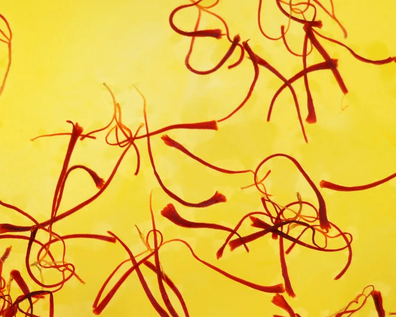 iranian saffron,organic saffron,saffron organic,organic persian saffron,organic saffron seller,sale of saffron organic