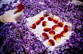 import saffron to us,import saffron to usa,saffron importer to usa,saffron seller to europe,saffreon importer to germany,saffreon importer to italy