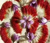 saffron price , sargol buy saffron , mancha saffron , mancha saffron , pure saffron , price of saffron