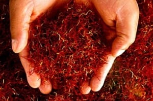 buy saffron,buy saffrom from iran,shopping saffron from iran,iran saffron organic