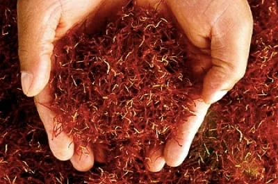 buy saffron,buy saffrom from iran,shopping saffron from iran,iran saffron organic