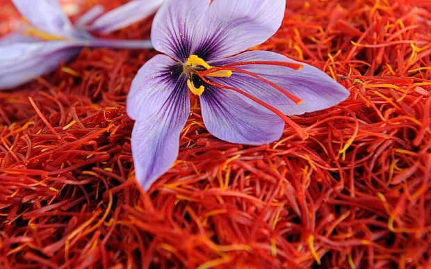 saffron in new york city,importer saffron in new york,price of iranian saffron in new york