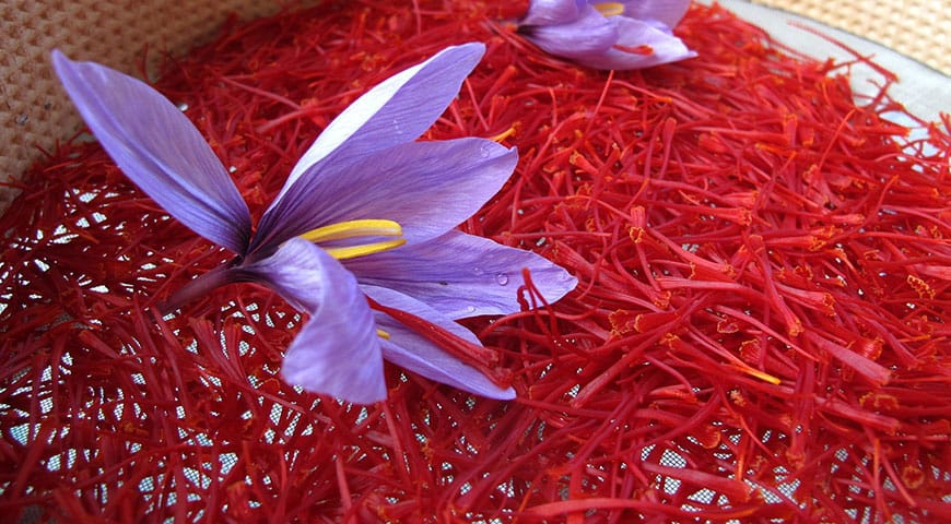 saffron shop in California,buy saffron in California,wholesaler saffron California,iranian saffron California,