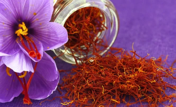 importer saffron in California,price of iranian saffron in California,California city saffron,sale saffron in California,saffron market in California,