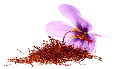 iranian saffron Chicago,saffron in Chicago city,importer saffron in Chicago,price of iranian saffron in Chicago,Chicago city saffron,