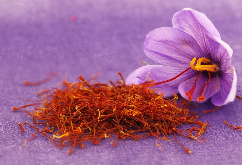 import saffron in Arizona,saffron seller in Florida,saffron shop in Florida,buy saffron in Florida,wholesaler saffron Florida,