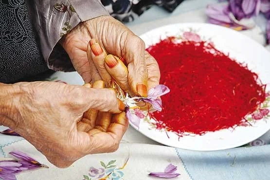 iranian saffron Michigan,saffron in Michigan city,importer saffron in Michigan,price of iranian saffron in Michigan,Michigan city saffron