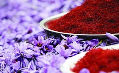 Persian saffron in new york,red saffron in new york,Iranian saffron in new york,buy saffron in new york,price of saffron new york