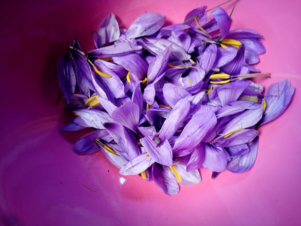 saffron in LA,saffron price in LA, saffron companies in LA,saffron iran in LA,