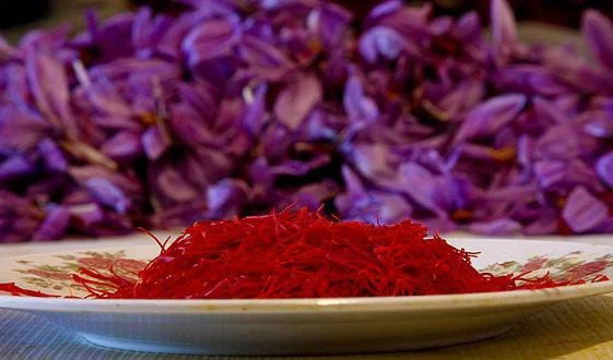 Iranian saffron in GENEVA,buy saffron in GENEVA,price of saffron GENEVA,saffron shop in GENEVA, ,Saffron,saffron in SWISS,saffron price in SWISS, saffron companies in SWISS,saffron iran in SWISS,Persian saffron in SWISS,