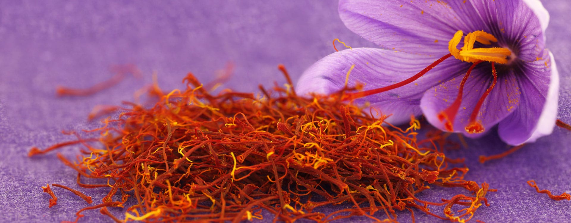 Persian saffron in NETHERLANDS,red saffron in NETHERLANDS,Iranian saffron in NETHERLANDS,buy saffron in NETHERLANDS,price of saffron NETHERLANDS,saffron shop in NETHERLANDS, ,Saffron,saffron in GERMANY,saffron price in GERMANY, saffron companies in GERMANY,