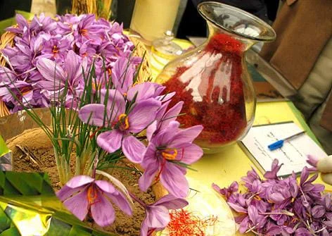 saffron iran in GERMANY,Persian saffron in GERMANY,red saffron in GERMANY,Iranian saffron in GERMANY,buy saffron in GERMANY,price of saffron GERMANY,saffron shop in GERMANY, ,Saffron,saffron in BERLIN,saffron price in BERLIN,