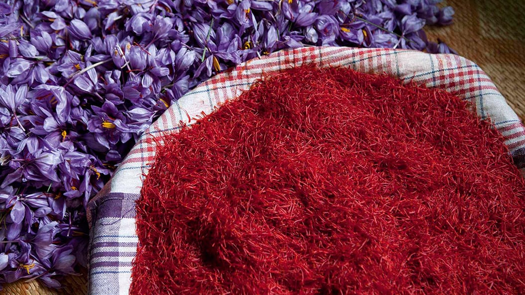 major purchase in AL,red saffron in AL,saffron shop in AL, saffron,iran saffron in Alaska,persian saffron in Alaska,iranian saffron in Alaska,price of saffron in Alaska,saffron in Alaska,saffron companies in Alaska,
