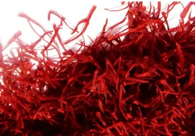 saffron iran in CT,saffron shop in CT,buy saffron in CT,buy persian saffron in CT,purchase saffron in CT,major purchase in CT,red saffron in CT,saffron shop in CT, saffron,iran saffron in Delaware,