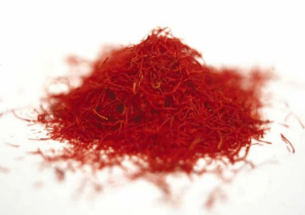 saffron,iran saffron in Florida,persian saffron in Florida,iranian saffron in Florida,price of saffron in Florida,saffron in Florida,saffron companies in Florida,saffron price in Florida,saffron iran in Florida,saffron shop in Florida,