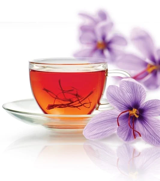 buy saffron in Florida,buy persian saffron in Florida,purchase saffron in Florida,major purchase in Florida,red saffron in Florida,saffron shop in Florida, saffron,iran saffron in FL,persian saffron in FL,iranian saffron in FL,