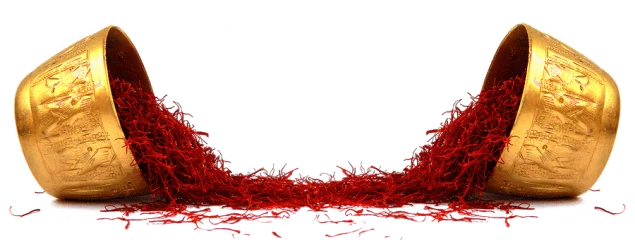 red saffron in FL,saffron shop in FL, saffron,iran saffron in Georgia,persian saffron in Georgia,iranian saffron in Georgia,price of saffron in Georgia,saffron in Georgia,saffron companies in Georgia,saffron price in Georgia,