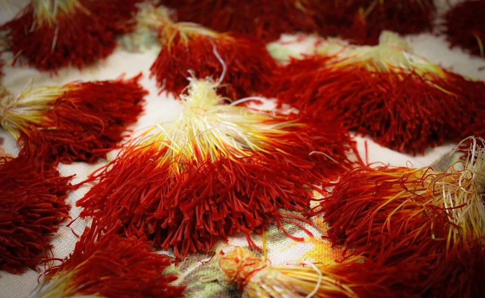 saffron,iran saffron in KY,persian saffron in KY,iranian saffron in KY,price of saffron in KY,saffron in KY,saffron companies in KY,saffron price in KY,saffron iran in KY,saffron shop in KY,