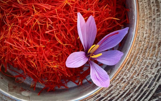 buy persian saffron in Maryland,purchase saffron in Maryland,major purchase in Maryland,red saffron in Maryland,saffron shop in Maryland, saffron,iran saffron in MD,persian saffron in MD,iranian saffron in MD,price of saffron in MD,
