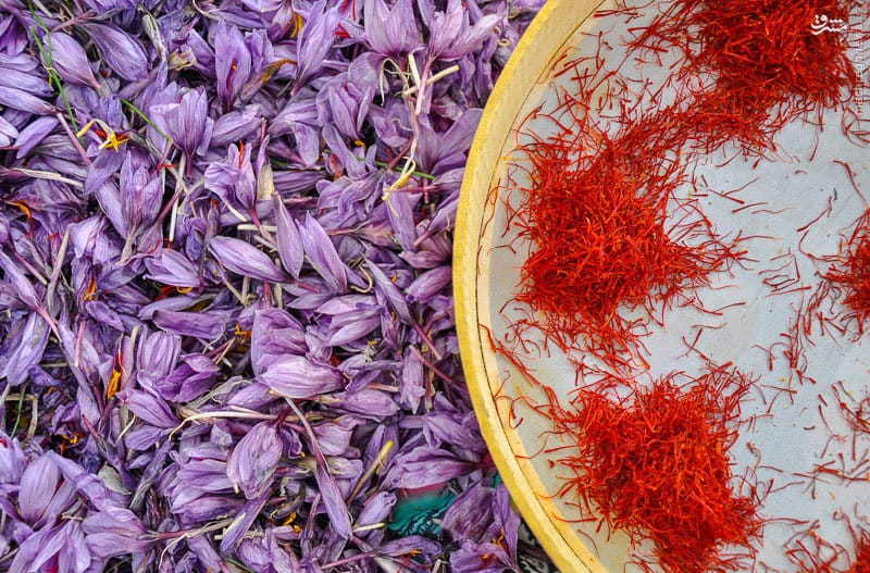 saffron shop in MD, saffron,iran saffron in Massachusetts,persian saffron in Massachusetts,iranian saffron in Massachusetts,price of saffron in Massachusetts,saffron in Massachusetts,saffron companies in Massachusetts,saffron price in Massachusetts,saffron iran in Massachusetts,