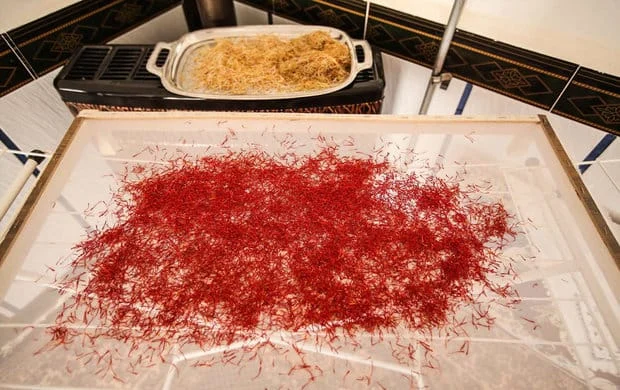buy persian saffron in Mississippi,purchase saffron in Mississippi,major purchase in Mississippi,red saffron in Mississippi,saffron shop in Mississippi, saffron,iran saffron in MS,persian saffron in MS,iranian saffron in MS,price of saffron in MS,