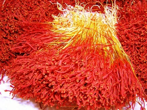 purchase saffron in NY,major purchase in NY,red saffron in NY,saffron shop in NY, saffron,iran saffron in North Carolina,persian saffron in North Carolina,iranian saffron in North Carolina,price of saffron in North Carolina,saffron in North Carolina,