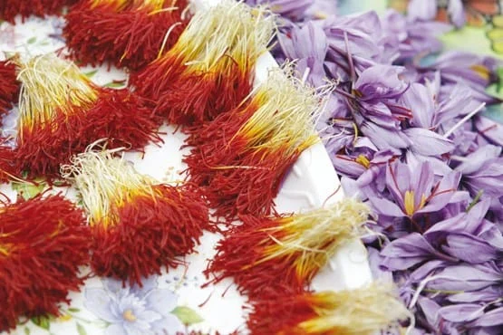 saffron in OH,saffron companies in OH,saffron price in OH,saffron iran in OH,saffron shop in OH,buy saffron in OH,buy persian saffron in OH,purchase saffron in OH,major purchase in OH,red saffron in OH,