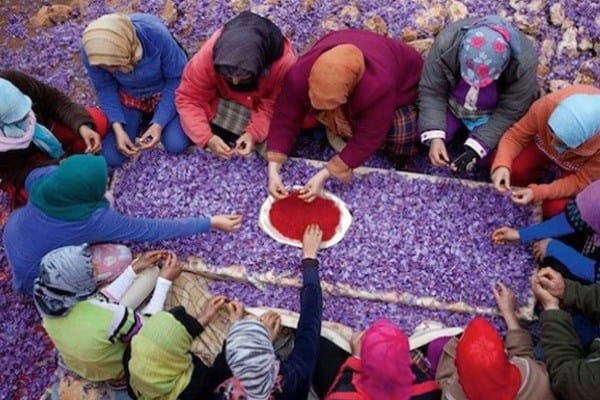 saffron shop in Oklahoma,buy saffron in Oklahoma,buy persian saffron in Oklahoma,purchase saffron in Oklahoma,major purchase in Oklahoma,red saffron in Oklahoma,saffron shop in Oklahoma, saffron,iran saffron in OK,persian saffron in OK,