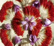 iranian saffron in OK,price of saffron in OK,saffron in OK,saffron companies in OK,saffron price in OK,saffron iran in OK,saffron shop in OK,buy saffron in OK,buy persian saffron in OK,purchase saffron in OK,