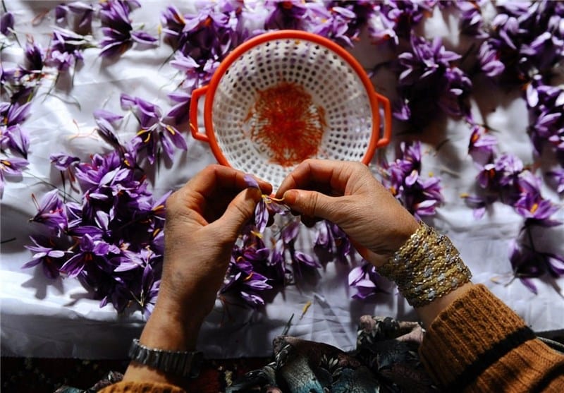 saffron,iran saffron in PA,persian saffron in PA,iranian saffron in PA,price of saffron in PA,saffron in PA,saffron companies in PA,saffron price in PA,saffron iran in PA,saffron shop in PA,