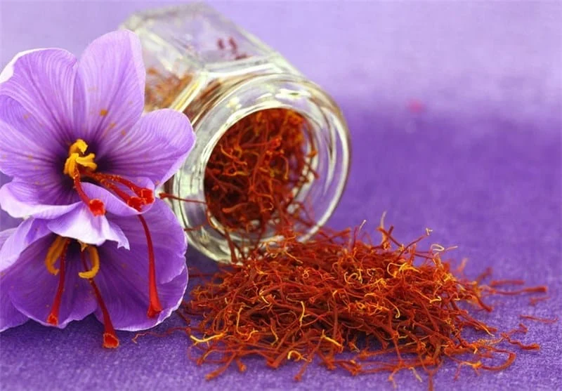saffron companies in TX,saffron price in TX,saffron iran in TX,saffron shop in TX,buy saffron in TX,buy persian saffron in TX,purchase saffron in TX,major purchase in TX,red saffron in TX,saffron shop in TX,