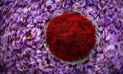 saffron,iran saffron in Utah,persian saffron in Utah,iranian saffron in Utah,price of saffron in Utah,saffron in Utah,saffron companies in Utah,saffron price in Utah,