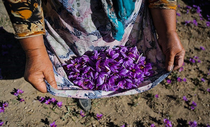 saffron iran in Utah,saffron shop in Utah,buy saffron in Utah,buy persian saffron in Utah,purchase saffron in Utah,major purchase in Utah,red saffron in Utah,saffron shop in Utah, saffron,iran saffron in UT,